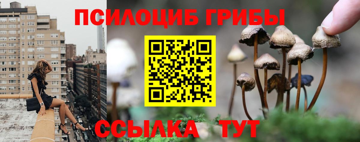 Псилоцибиновые грибы Magic Shrooms  где купить   Новороссийск  Вход с VPN  Галлюциногенные грибы мухоморы 